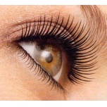 Eyelash Extensions at Beauty Lounge