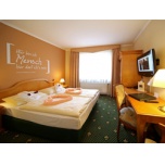 Hotelværelse med adgang til spa at Trihotel am Schweizer Wald