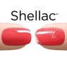 Shellac at Hudplejesalonen